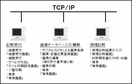 VXeTv