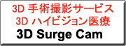 �N���b�N����ƁA3D Surge Cam�փ����N���܂�