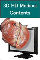 3D HD Medical Contents